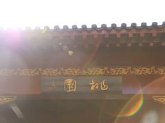 -南汇桃花村