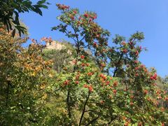 -白草畔自然风景区