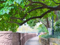 -成都市活水公园