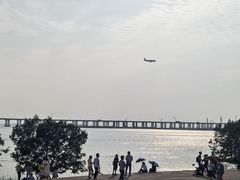 -宝安西湾红树林湿地公园