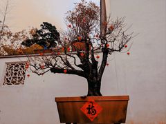 -龙华寺