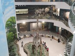 -辽宁古生物博物馆