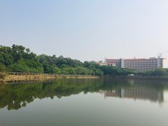 -广东财经大学(佛山校区)
