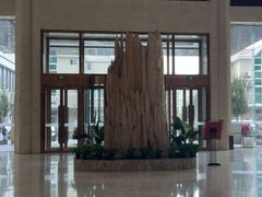 -兴芮温泉度假区