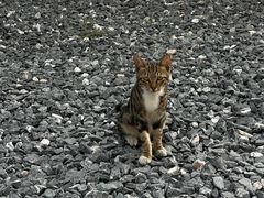 -DGE季风钓虾营地·团建·聚会