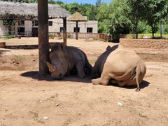 -鄂尔多斯野生动物园