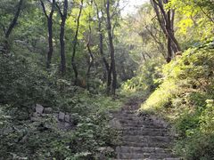 -锦屏山旅游度假区