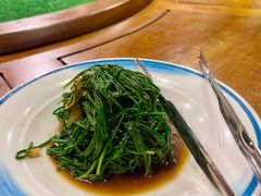 -蒙古大营(朝阳公园店)