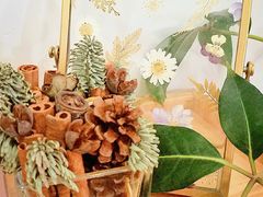 -团子君寿司·茶
