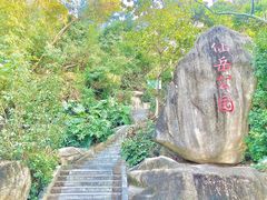 -仙岳公园