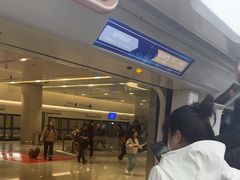 -上海浦东国际机场-T2航站楼