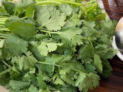 -肥婆麻辣火锅.顺德首创药材麻辣火锅(容桂店)