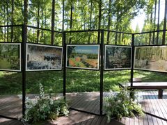 -黄海国家森林公园