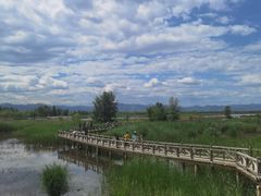 -野鸭湖国家湿地公园