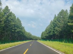 -塞罕坝国家级自然保护区