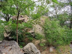 -阳台山自然风景区