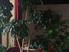 -The V泽惟·低温慢煮料理