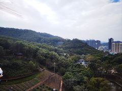 -龙凤山庄影视度假村