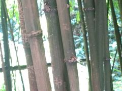 -常德桃花源景区