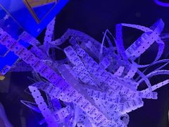 -核客电玩城(东门店)