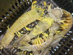 -琼大师东方烤乳猪(亚特兰蒂斯店)