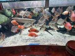 -太平洋海底世界