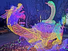 -南宫五洲植物乐园