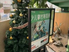 -绿壁虎攀岩基地(Tcar店)