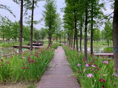 -西山漾湿地公园