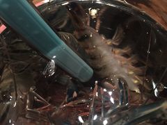-珍宝轩海鲜火锅(碧湖大厦店)