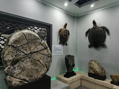 -游龙石文化科普馆