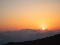 -牛背梁国家森林公园