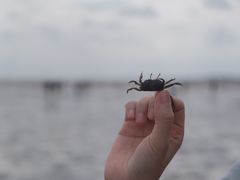 -南汇新城海滩