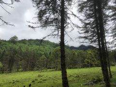 -硗碛藏寨·神木垒景区