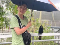 -新加坡飞禽公园