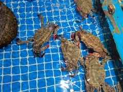 -渔港甄宴·海鲜·地标烟台菜(金沙滩店)