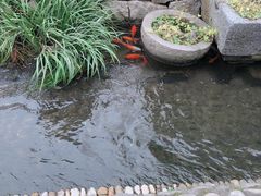 -前童古镇