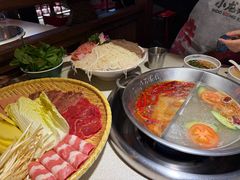 -小龙坎火锅(全球旗舰店)