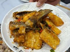 -凯盈阁·顺德私房菜·桑拿鸡