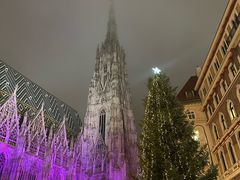-斯蒂芬主教座堂(Stephansdom)