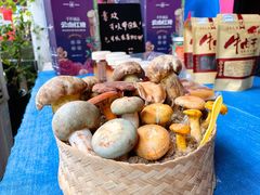 -缘生态云南菜·野生菌庭院餐厅(华侨城店)