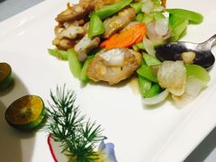 -沪碟·精菜坊(闵行店)
