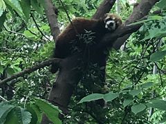 -西安秦岭野生动物园