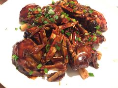 -席家花园(巨鹿花园店)