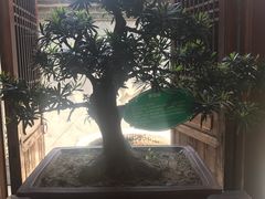 -不倒翁·徽天下名菜楼(马鞍山路店)