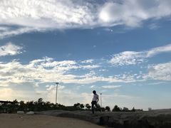 -巨鹏飞梦幻海岸