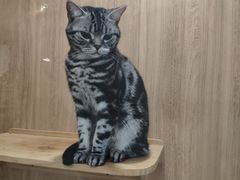 -藦茜花园宠物主题亲子互动体验馆(国顺东路店)