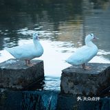 逃离城市喧嚣，避世深山古村楼