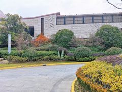 -上海崇明金茂凯悦酒店