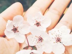 -终南山国家森林公园